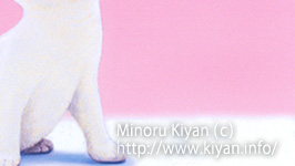 Minoru Kiyan (C)